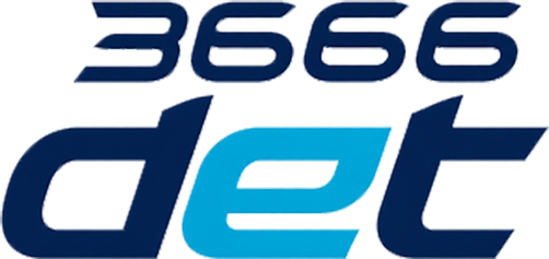 bd3666det.com Logo